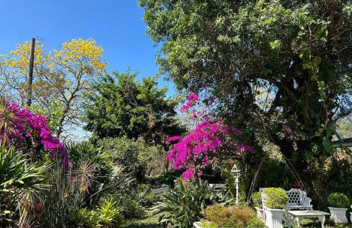 Casa Jardim - Foto 52