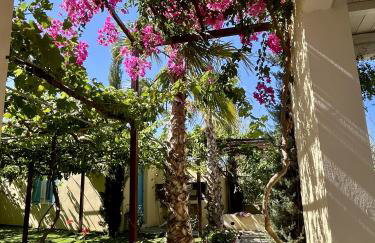 Villa Loretta with pool, jacuzzi and garden - Photo 36