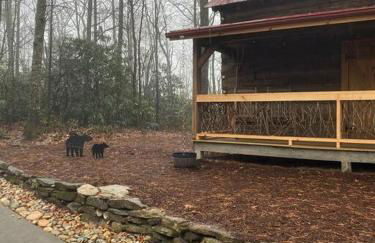 1850s Settlers Cabin at Wethero Ridge - Foto 15