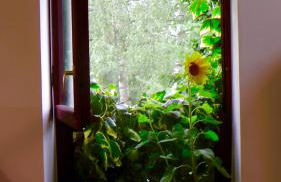 Blumenhaus - Foto 21