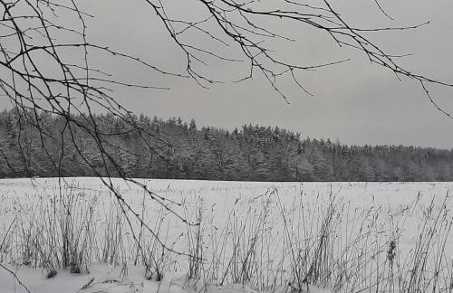 GREEN HOUSE - Foto 17