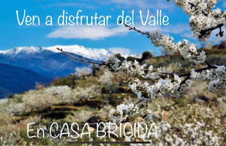 CASA BRIGIDA - Foto 39