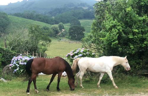 Un écrin dans la nature - Foto 9