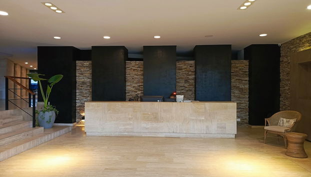 Lindo - Jacuzzi privado - 3 Min Playa Azul - Foto 3, Recepción