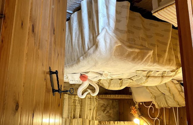 Lo Racó de Peret - Foto 27