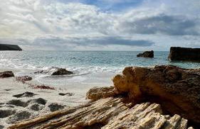 Corona Apartments - Foto 19