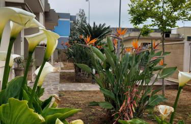 Le Strelizie - Foto 24