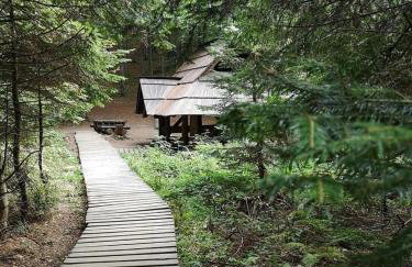 Apartament Bieszczadzkie Widoki - Foto 14