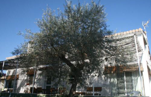 El Campillo, casa de campo cerca de la playa - Foto 50