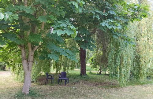 Couleur Jardin - Foto 9