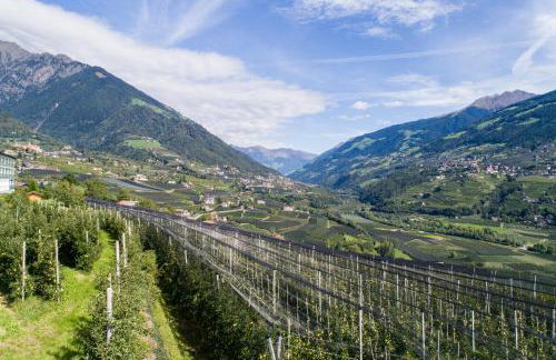 Vinea - Suites & Apartments - Foto 44