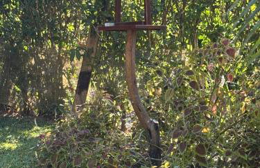 Acorde com o canto dos passaros - Foto 4