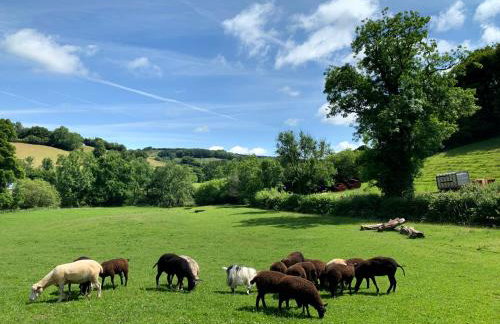 Riscombe Farm Cottages - Foto 11