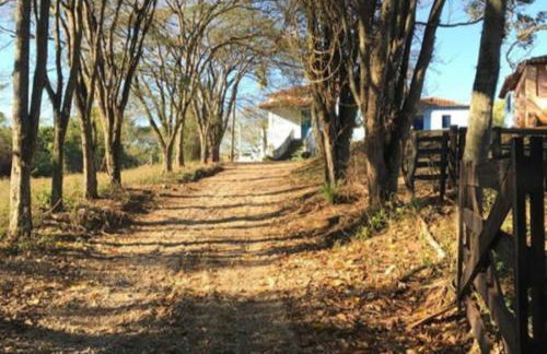 Fazenda Boa Esperança ITA - Foto 9