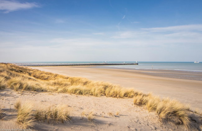 Apartment in De Panne Near Beach - Photo 28