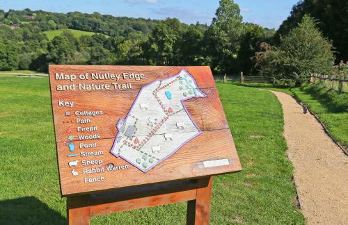 Walnut Walk - Foto 9