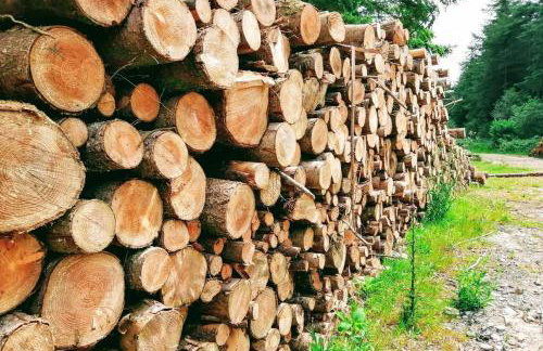 Stunning cosy barn in peaceful rural Cornwall - Photo 24