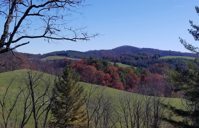 The Cabins at Healing Springs - Foto 49