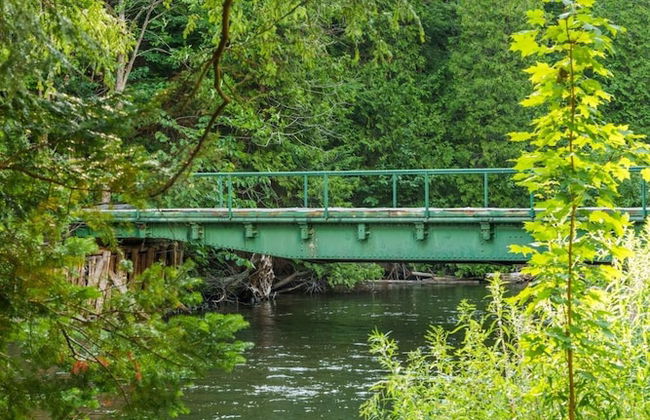 Firefly Lodge! Boardman River! Hot Tub! Woodstove! - Foto 49