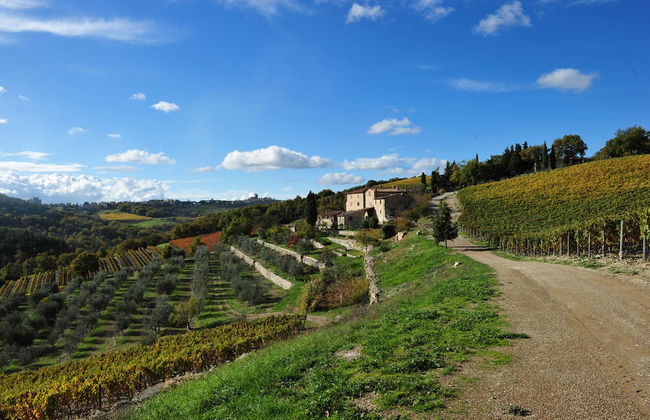 Collelungo - Foto 56