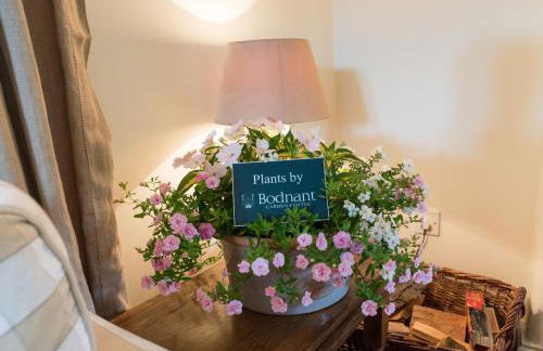 Ty Ucha'r Ffordd - Foto 15