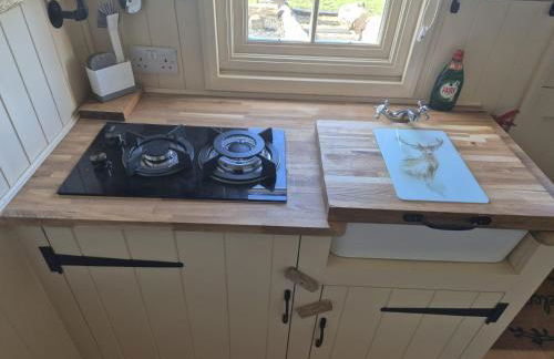 Shepherds haven hut Near Padstow - Foto 17