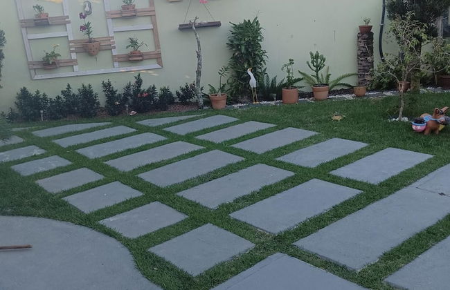 Jardim das Orquídeas 1 - Foto 12