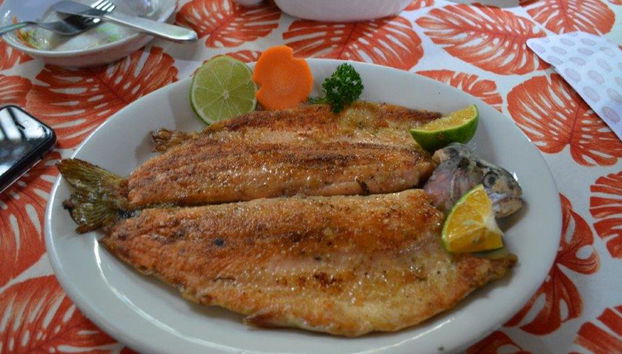 Découvrez la charmante vallée de Cocora, Salento et Filandia - Excursion d'une journée - Photo 5