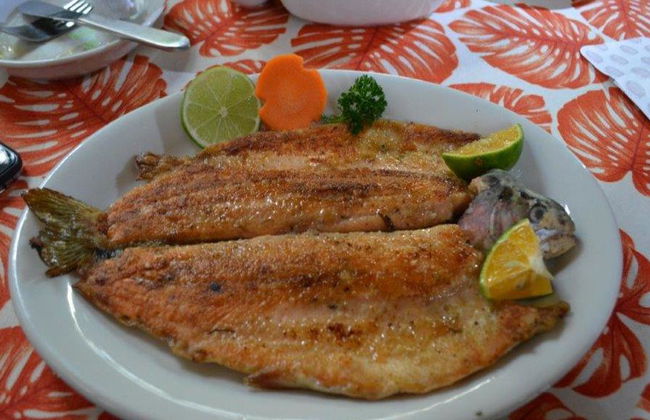 Erkunden Sie das bezaubernde Cocora-Tal, Salento und Filandia – Tagestour - Foto 5