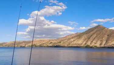 TU CASA EN MEQUINENZA CON WIFI - Photo 2