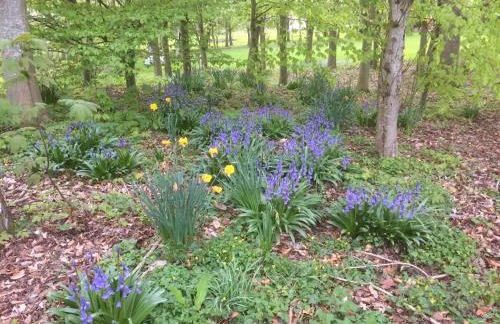 Rose cottage - Photo 12