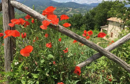 Casa Baldoni - Foto 40