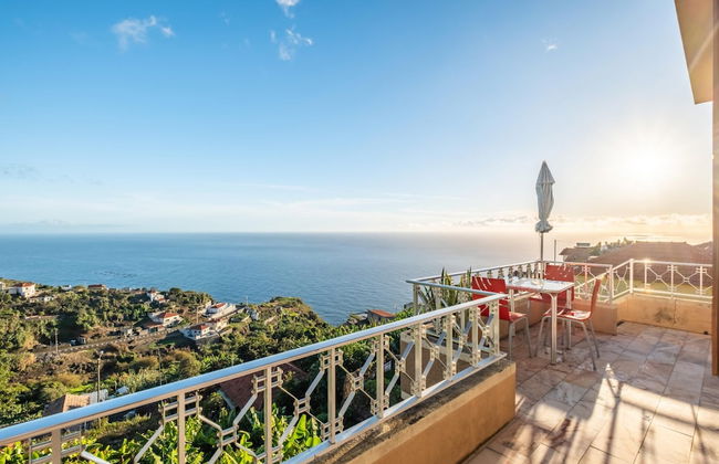 White Rabbit II by Homie - Foto 2