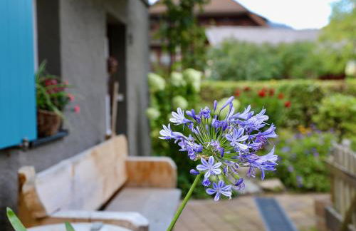Backhüsli am Bauerngarten - Foto 15