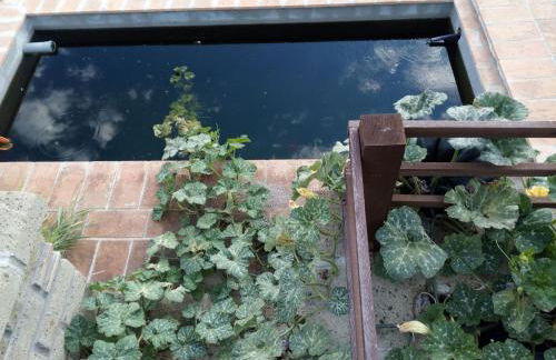 Azienda Agricola Biologica La Cardellina - Foto 24