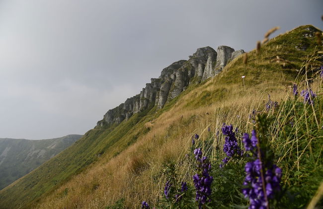 Alexander Place - Foto 38