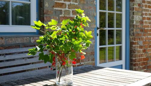 Paulsen Häuschen - Schloss Gelting - Foto 2