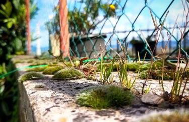 Narniandum Est Locazione Turistica - Foto 71