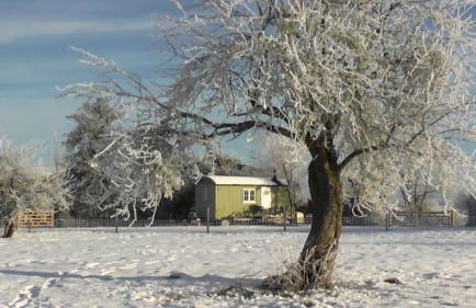 the abberton shepherds hut - Foto 1