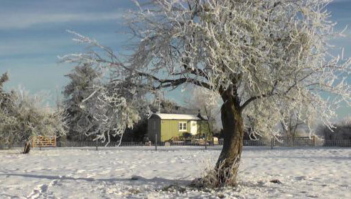 the abberton shepherds hut - Foto 1