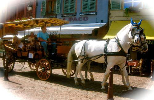 Ferienwohnung Endlich Ferien - Foto 32