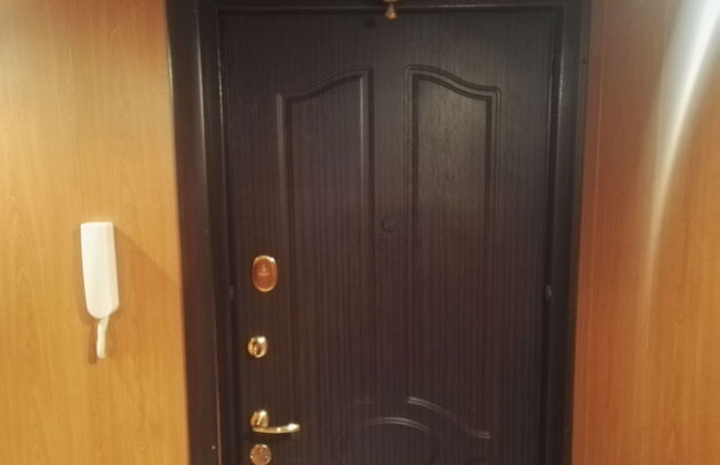 Apartments on Tolstogo 1 - Photo 53