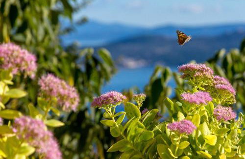 Renovated Old Stone House - Foto 12