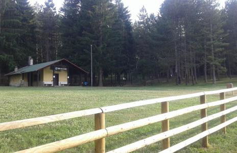 La Pineta di Giove - Casa Lory - Foto 16