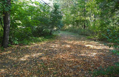 Emanuel - Cute Upstairs Apt AC Great Location - Foto 10