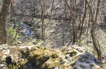 Cabin near Dogwood Canyon, Top of the Rock, Branson - Foto 17