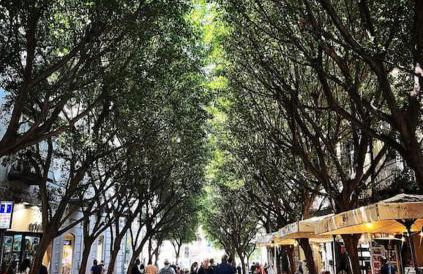 Re Gallo Luxury apartment Plebiscito in Via Chiaia - Foto 24