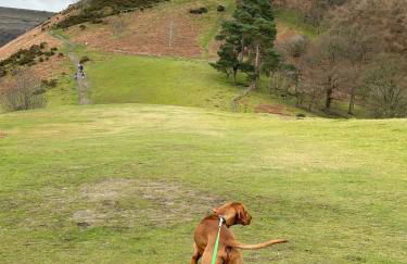 Tower Farm Holidays - Photo 65