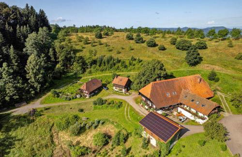 Schwarzwald Buchenhof - Foto 7