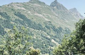 Les Thymels - Foto 30